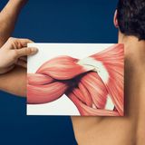 Staw ramienny i kręgosłup szyjny | Kurs | 27-29.11.2026