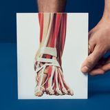 Stopa i staw skokowy | Kurs | 2-4.10.2026